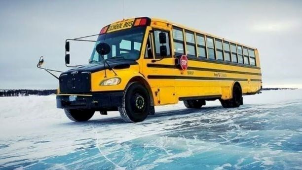 Bus